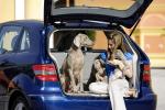 Mercedes-Benz B-Class 2009 года